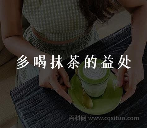 女人每天喝抹茶有什么好处