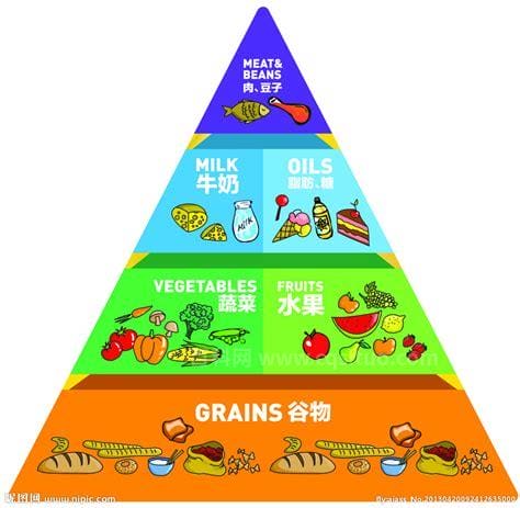 健康金字塔下的四种人,健康金字塔体系