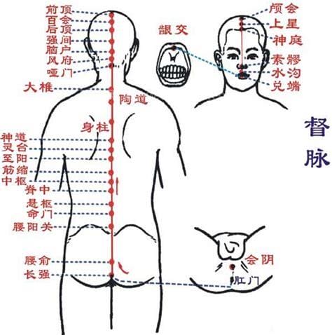 督脉上的28个穴位快速记住口诀