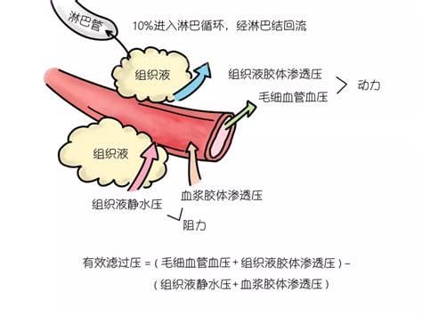 胶体渗透压，什么是血浆胶体渗透压和晶体渗透压