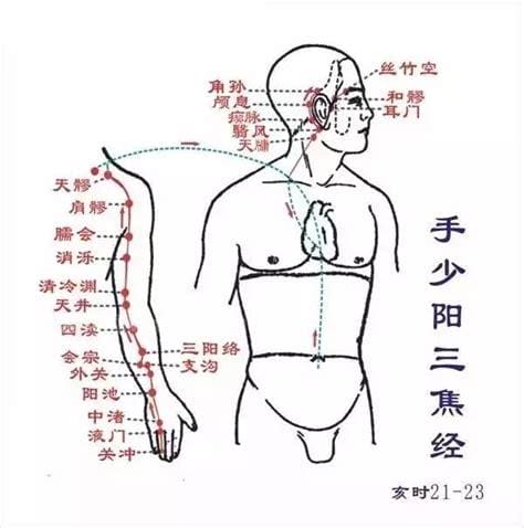 三焦经的作用和功能