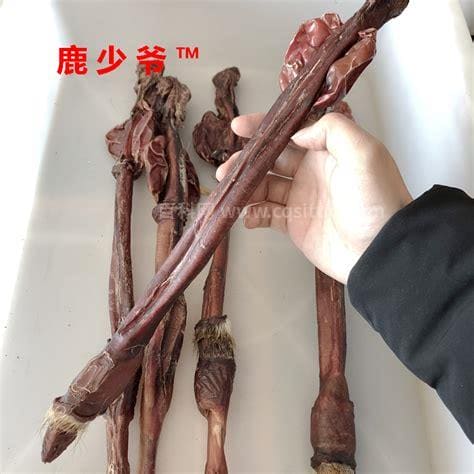 鹿鞭是鹿的哪个部位