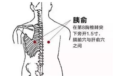 胰俞穴的准确位置胰俞穴有什么疗效