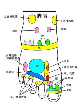 脚背乳腺反射区往哪个方向刮痧