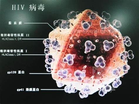 医学的LPD是什么病