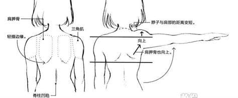 直角肩是什么病