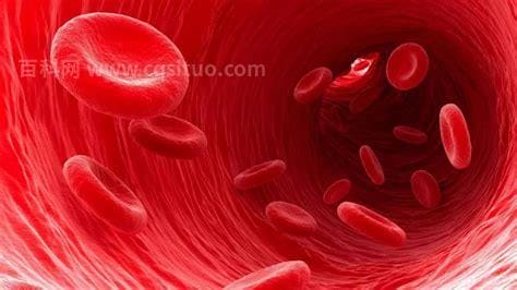 血细胞分析可以查出什么