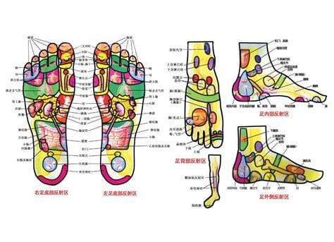 脚疼的各个部位详细图