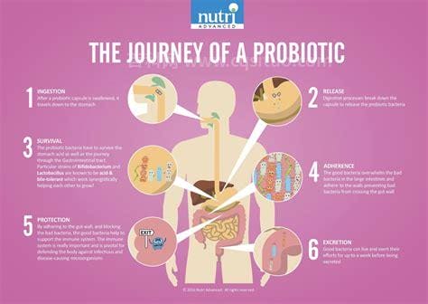 益生菌的功效和作用？