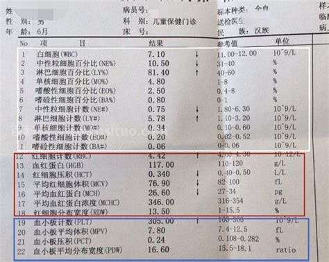 验血报告NEU偏低、NEU%偏低、红细