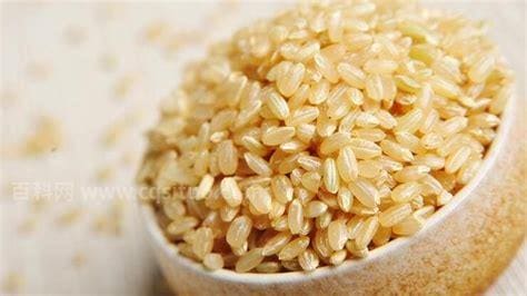 糙米是什么米？