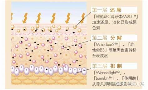 传明酸的作用与功效是什么