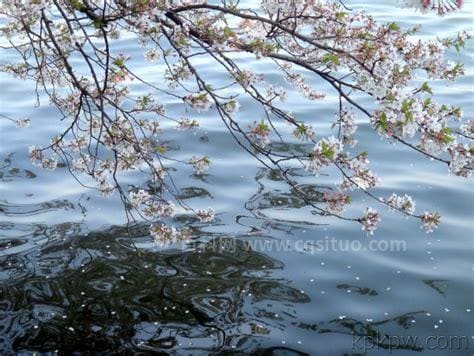 落花有意流水无情什么意思