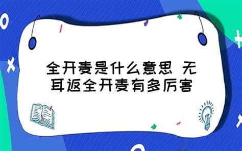 全开麦是什么意思