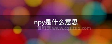 npy是什么意思