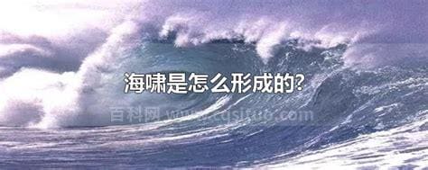 海啸是怎么形成的