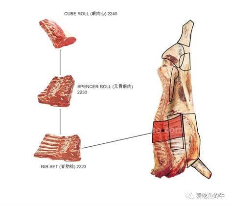 牛肋条是什么部位的肉