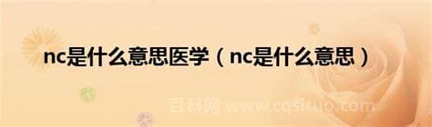 nc是什么意思