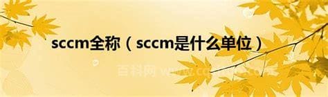 sccm是什么单位