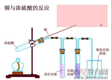 铜和浓硫酸反应的离子方程式