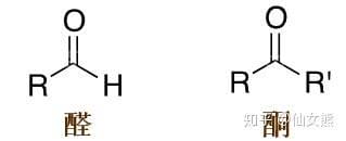 醛和酮的区别 醛和酮有什么不同