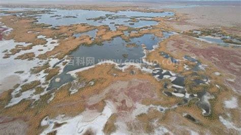 终有弱水替沧海 再无相思寄巫山全诗 终有弱水替沧海 再无相思寄巫山的全诗是什么