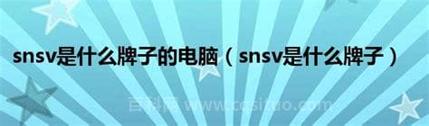 snsv是什么牌子