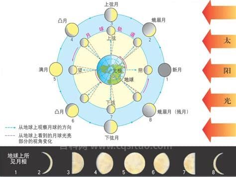 公休日是指周六日吗 公休日是什么意思