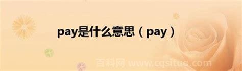 pay是什么意思