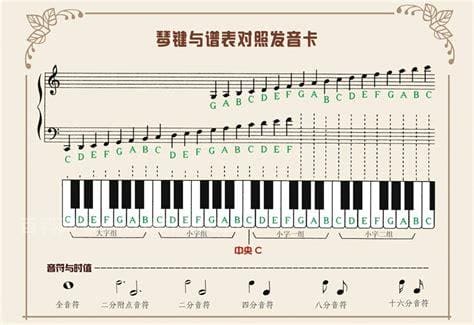 五线谱共有几个音位