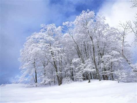 雪白的什么