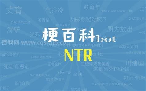 ntr是什么梗