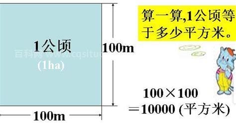 一平方米等于多少公顷换算