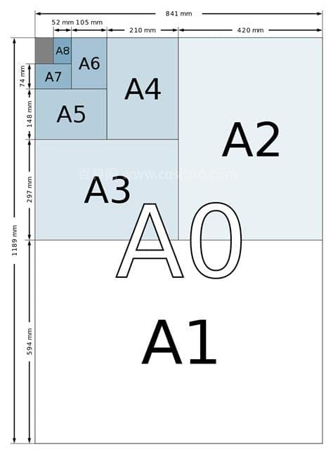 a3纸尺寸是多少