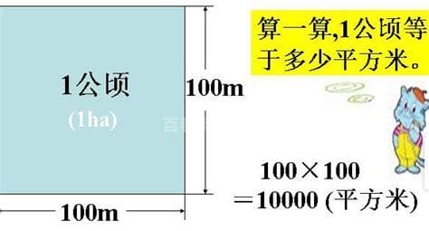 一公顷多少平方米多少亩