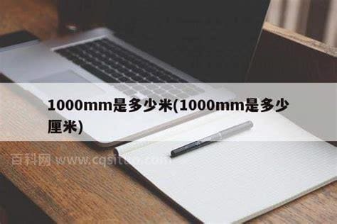 1000mm是多少米