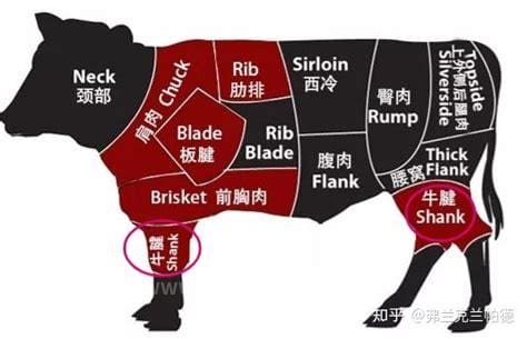 牛腱子肉是哪个部位