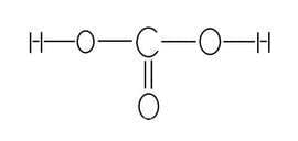 碳酸的化学式是什么