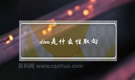 dom是什么性取向