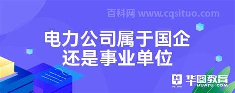 电力公司属于国企还是事业单位