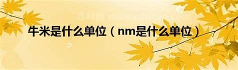 nm是什么单位