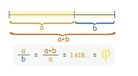 黄金比例公式