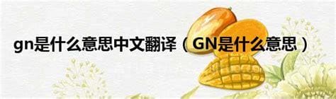 gn是什么意思