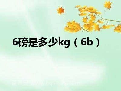 6磅是多少kg