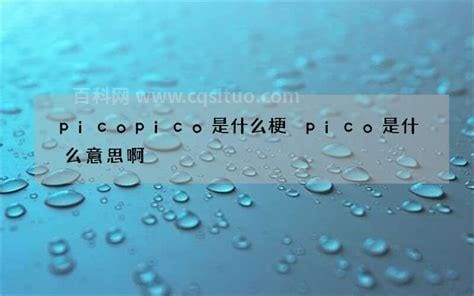 picopico是什么梗 pico是什么意思啊