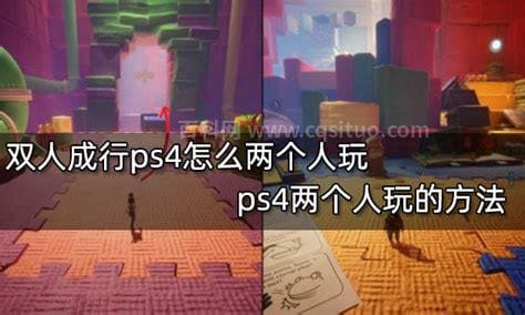 双人成行ps4怎么两个人玩 双人成行ps4两个人玩的方法