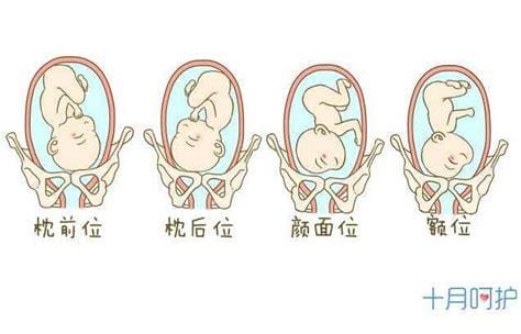 roa是什么意思 roa简介