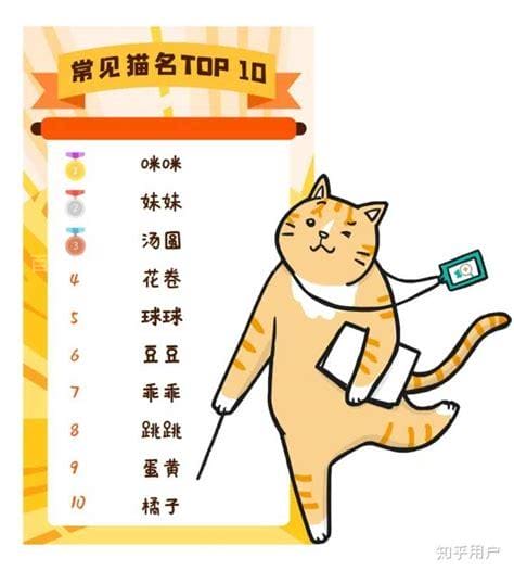 好听的女猫咪名字大全 萌一点的女猫咪名字