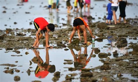 什么地方可以赶海 适合赶海的地点有哪些？