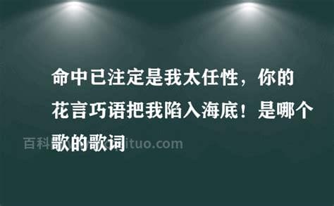 命中已注定是我太任性是什么歌 命中已注定是我太任性完整歌词介绍